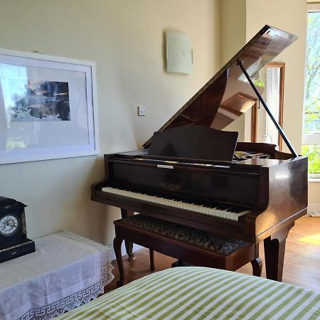 11 Somerville Place East 邓迪 外观 照片